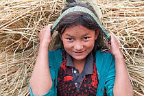 Girl carrying fodder uphill to the village, Tamang heritage trail, Langtang region, between Thuman and Syabru besi, Nepal, November 2009