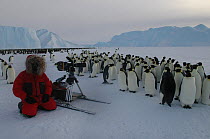 Camerman Wade Fairley filming colony of Emperor penguins, Antarctica, for BBC Planet Earth series 2005