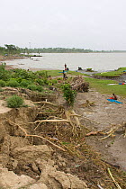 Children on coastal land devastated by typhoon Sidr, Sundarbans, Bangladesh,  October 2008