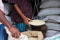 Rice trader weighing rice, Bangladesh