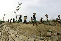 Building a sea wall to combat climate change and protect fishing village from floods, Sundarbans, Bangladesh, October 2008