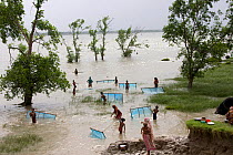 Large numbers of children fishing for shrimp fry on coastal margin land damaged by typhoon Sidr in November 2007, Sundarbans, Bangladesh, October 2008