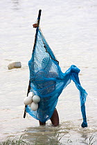 Bangladeshi man with shrimp net for catching shrimp fry, Sundarbans, Bangladesh, October 2008