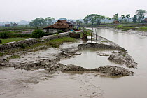 Siltation caused by reduced river flow and leading to waterlogged land and flooding, Ganges delta, Bangladesh, November 2008