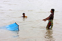 Young woman fishing for shrimp fry, Ganges Delta, Bangladesh, November 2008