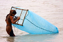 Young woman fishing for shrimp fry, looking in net to see the catch, Ganges Delta, Bangladesh, November 2008