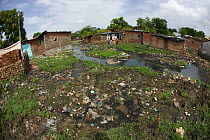 Industrial and domestic pollution around stream in slum, Bhopal, Madhya Pradesh, India, November 2008