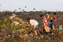 Adults and children looking for recyclable objects in landfill site, Dhaka, Bangladesh, November 2008