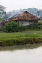 Smoke rising from rural house at meal time,  Ganges delta, Bangladesh, November 2008