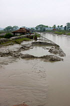 View of river showing how reduced river flow leads to siltation and waterlogging, Ganges delta, Bangladesh, November 2008
