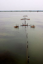 Shrimp farming, resulting in an increased salinity threat to rural water supplies, Ganges delta, Bangladesh, November 2008