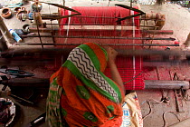Woman weaving cloth as part of a craft scheme to alleviate rural poverty, Ganges delta, Bangladesh, November 2008