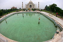 Taj Mahal with pond in foreground, tomb of Humayun, Uttar Pradesh, India,  November 2008