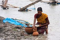 Young woman emptying shrimp fry from net into pot, Ganges Delta, Bangladesh, November 2008