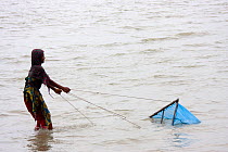 Child fishing for shrimp fry in coastal waters, threat to rural infrastructure and education, Ganges delta, Bangladesh, November 2008