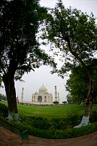 Taj Mahal, tomb of Humayun, Uttar Pradesh, India,  November 2008