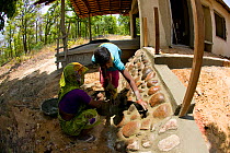 Women building tourist Rondavel / Lodge in forest for Tiger tourism, near Bandhavgah NP, Madhya Pradesh, India, November 2008, November 2008