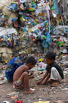 Street children searching for recyclable objects at landfill, Dhaka, Bangladesh, November 2008