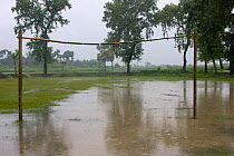 Flooded football pitch during the monsoon, Ganges delta,  Bangladesh, November 2008