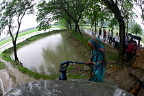 Woman pumping water at new well to obtain clean freshwater, shrimp monoculture has lead to salinisation of the original water sources, Ganges delta, Bangladesh, November 2008