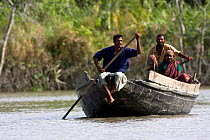 Fisherman in boat, Sundarbans NP, Bangladesh, November 2008