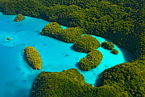 Aerial view of Milky Way Bay, Rock Islands, Palau, Micronesia. April 2009