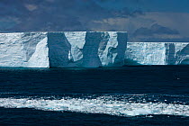 Massive tabular iceberg off the southern tip of South Georgia Island, Southern Ocean, Antarctic Convergence, November 2008