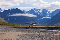 Bush plane about to land on landing strip in Arctic National Wildlife Refuge, Alaska, June 2009