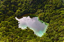 Aerial view of Jellyfish lake, Uet era Ongael, and surrounding rainforest, Palau, Micronesia, April 2009