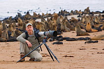 Wildlife Photographer, Ingo Arndt, amongst Cape Fur Seal (Arctocephalus pusillus) colony, Cape Cross, Namibia, December 2008