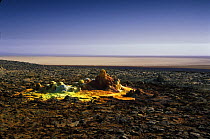Dallol hot springs where water heated by magma laden with potassium, sulphur and iron spews up through salt pans staining the salt deposits with vivid colours, in the bottom of the Rift Valley, 120 me...