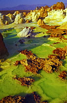 Aerial view of Dallol Hot springs, Danakil Desert, Ethiopia, November 2003,  Filming for the Mountains episode of BBC NHU tv series, Planet Earth Filming the origin of the volcanic forces that create...