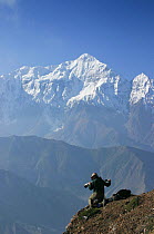 Camerman Barrie Britton filming Demoiselle cranes in the Kali Gandaki Valley, Nepal, October 2005, for the Mountains Program of the BBC NHU series, Planet Earth. In the background is the peak of Dhaul...