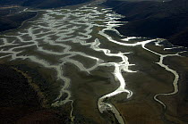 Aerial view of Llano de Cachigui with water rivulets following heavy rain, Baja California, Mexico, April 2008