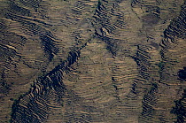 Aerial view of terraced fields, Himalayan foothills, Nepal, November 2007