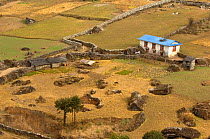 Aerial view of house surrounded by agricultural fields, Himalayan foothills, Nepal, December 2007