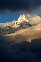 Ama Dablam mountain peak (6,812m) surrounded by clouds, Sagarmatha National Park, Khumbu, Himalayas, Nepal, December 2007
