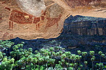 Ancient cave paintings of rabbits on roof of cave with view Palms growing outside the cave, Sierra de San Francisco, Baja California, Mexico