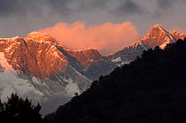 Mount Everest (8,850m) at sunset, Sagarmatha National Park, Khumbu, Himalayas, Nepal, November 2007