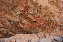 Ancient cave paintings of people, deer and wild sheep, Sierra de San Francisco, Baja California, Mexico