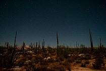 Desert landscape at night with shooting stars, Baja California, Mexico