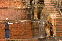 Man washing sculpture of an Elephant with a hose, Nyatapola Temple, Bhaktapur, Kathmandu, Nepal, December 2007