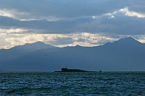 Submarine at surface in Avacha Bay, with Koryaksky / Koryakskaya  volcano (3,456m) in the distance, Petropavlovsk, Kamchatka, Russia, September 2006