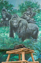 Lowland gorilla (Gorilla gorilla) sleeping on platform in front of mural with gorillas drawn on it, captive, Seoul Zoo