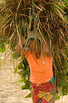 Once a month local villagers are permitted to take natural resources, such as firewood and elephant grass, out of the Park, here a woman carries a heavy load of grass across the river, Chitwas NP, Nep...