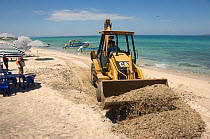 Bulldozer on beach, burying spots of oil under the sand, Balandra Bay, Baja California, Mexico, September 2007