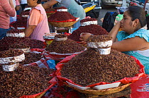 Piles of Grasshoppers for sale in market as food, Oaxaca, Mexico, December 2007