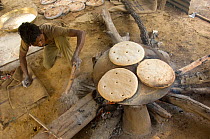 Man preparing bread cakes as food for working Elephants in Bandhavgargh NP, Madhya Pradesh, India, November 2007