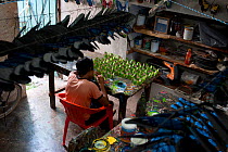 Young boy painting hand-made butterflies, Yucatan, Mexico
