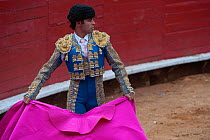 Matador uses pink side of cloak to challenge bull in bullfight, Plaza de Toros, Mexico City, Mexico